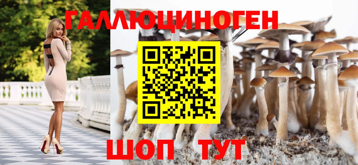 Сосновый Бор  Галлюциногенные грибы Psilocybe  где продают   Вход с VPN 