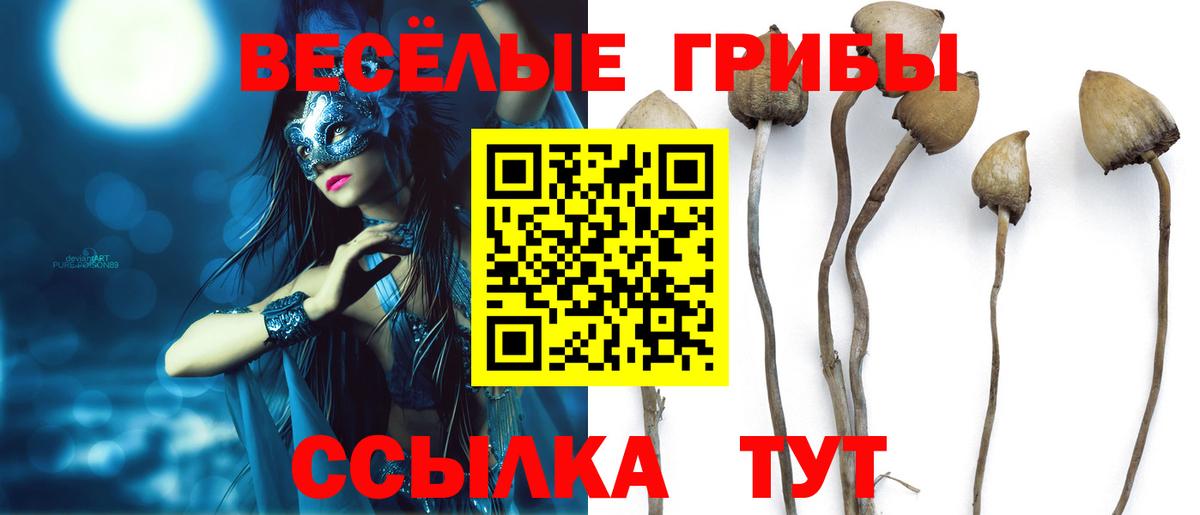 Псилоцибиновые грибы MAGIC MUSHROOMS Сосновый Бор